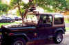 jeep.jpg (42729 bytes)