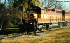 wc_3002.gif (4664 bytes)